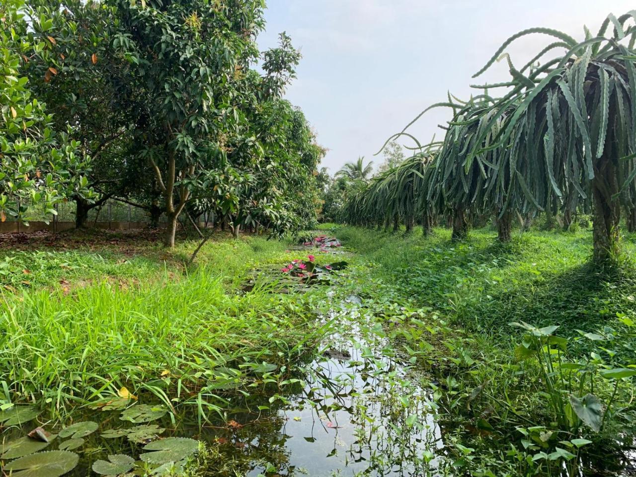 Mekong Backpacker Inn Cần Thơ Zewnętrze zdjęcie